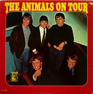 Animals Animals